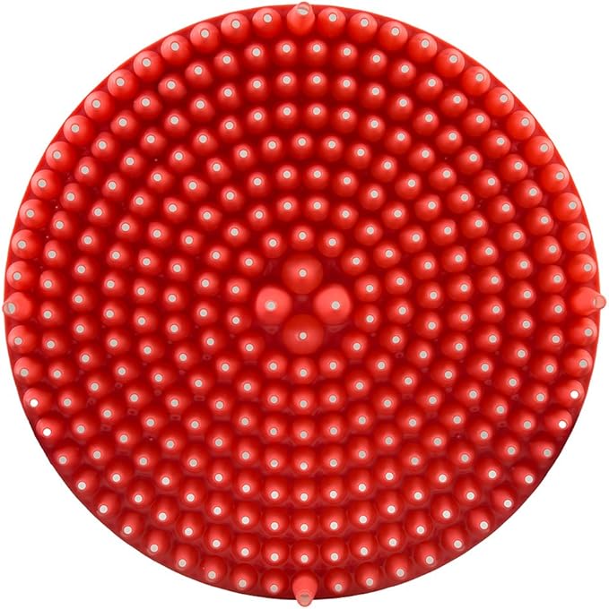 Chemical Guys DIRTTRAP02 Cyclone Dirt Trap Car Wash Bucket Insert Car Wash Filter Removes Dirt and Debris While You Wash (Red) 12" Diameter Great for Washing Cars, Trucks, SUVs, RVs & More