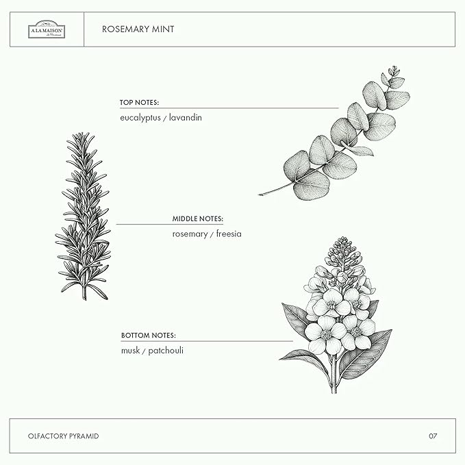 A LA MAISON Liquid Soap - Uses: Hand and Body, Triple Milled, Essential Oils, Biodegradable, Plant Based, Vegan, Cruelty-Free, Alcohol & Paraben Free (16.9 oz, 6 Pack)