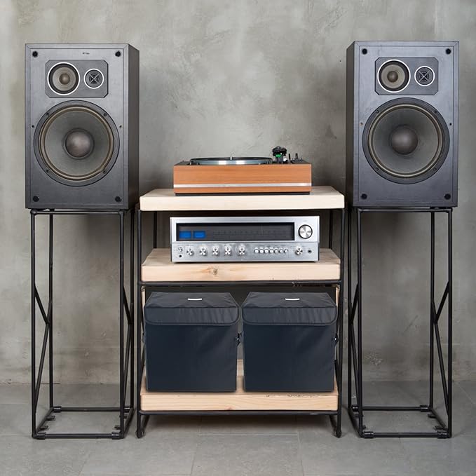 Vinyl Record Storage Box for 12-inch Records Crate Holds up to 90 records,Pack of 1-14x 13x 13 Inch LP record storage for Valuable Album Collection - Black