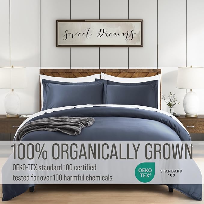 Bella Coterie Luxury Bamboo Viscose Queen Size Duvet Cover Set | 100% Organically Grown | Corner Ties | Ultra Soft | Cooling | Two Pillow Shams | 90 x 94 | No Insert [Slate Blue]