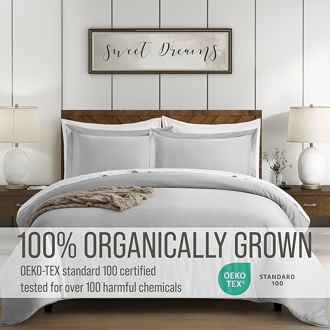 Bella Coterie Luxury Bamboo Viscose Queen Size Duvet Cover Set | 100% Organically Grown | Corner Ties | Ultra Soft | Cooling | Two Pillow Shams | 90 x 94 | No Insert [Grey Mist]