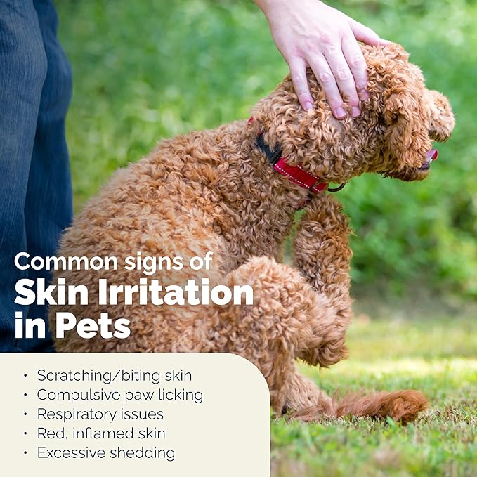 Vetnique Dermabliss Advanced Strength Medicated Antibacterial Wipes for Dogs with Chlorhexidine for Infections, Irritation & Redness Relief