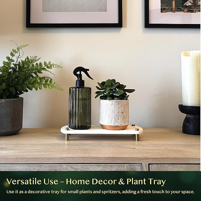 2PCS Water Absorbing Stone Soap Tray for Kitchen Bathroom Sink, Quick Dry Diatomaceous Earth Drying Rack and Shower Caddy, Soap Dispenser and Sponge Holder Organizer for Countertop, TWINKLE MOMENT; Pure White