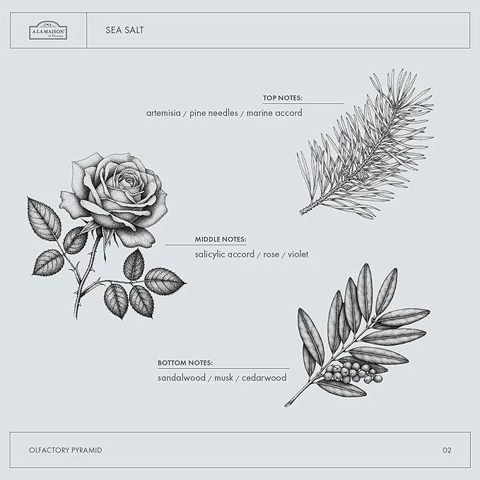 A LA MAISON de Provence Fresh Sea Salt Liquid Hand and Body Soap (Pack of 2) With Olive Oil, Coconut Oil and Vitamin E, 16.9 fl oz Each