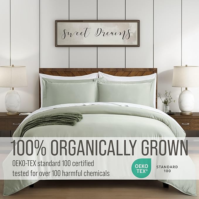 Bella Coterie Luxury Bamboo Viscose Queen Size Duvet Cover Set | 100% Organically Grown | Corner Ties | Ultra Soft | Cooling | Two Pillow Shams | 90 x 94 | No Insert [Sea Glass]