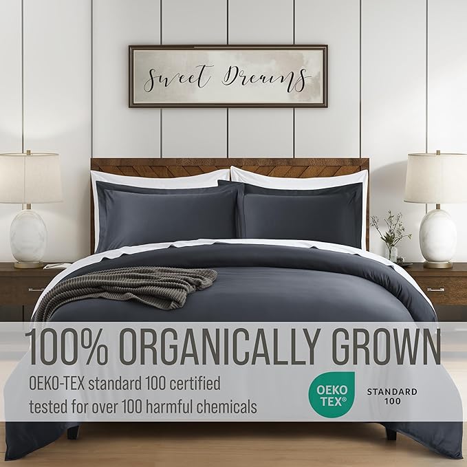 Bella Coterie Luxury Bamboo Viscose California King Size Duvet Cover Set | 100% Organically Grown | Corner Ties | Ultra Soft | Cooling | Two Pillow Shams | 106 x 94 | No Insert [Charcoal Grey]