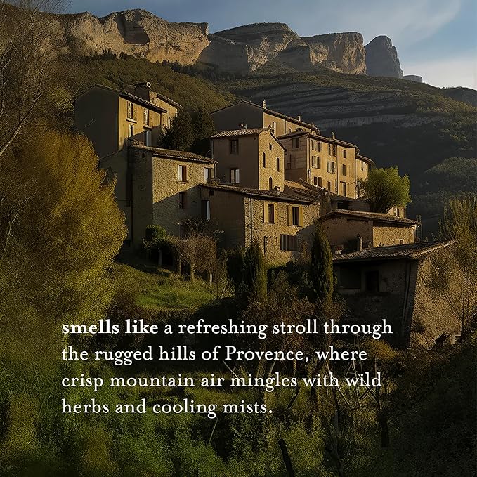 A LA MAISON French Liquid Hand Soap, Rosemary Mint - Natural Hand Wash Made with Essential Oils - Biodegradable, Plant-Based, Vegan, Cruelty-Free, Alcohol & Paraben Free (16.9 oz, 2 Pack)