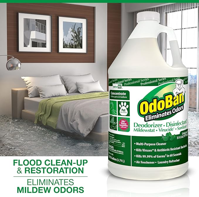 OdoBan Professional Disinfectant and Odor Eliminator Concentrate, Made in the USA, Original Eucalyptus Scent, 1 Gallon
