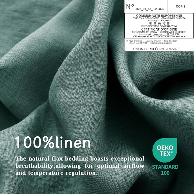 EVERLY 100% Pure Linen Duvet Cover Set Queen Size90X90Inch 3pcs (1 Duvet Cover,2 Pillowcases) Soft and Breathable for All Season with Coconut Button Closure, Suitable for Hot Sleepers-Aqua-Queen